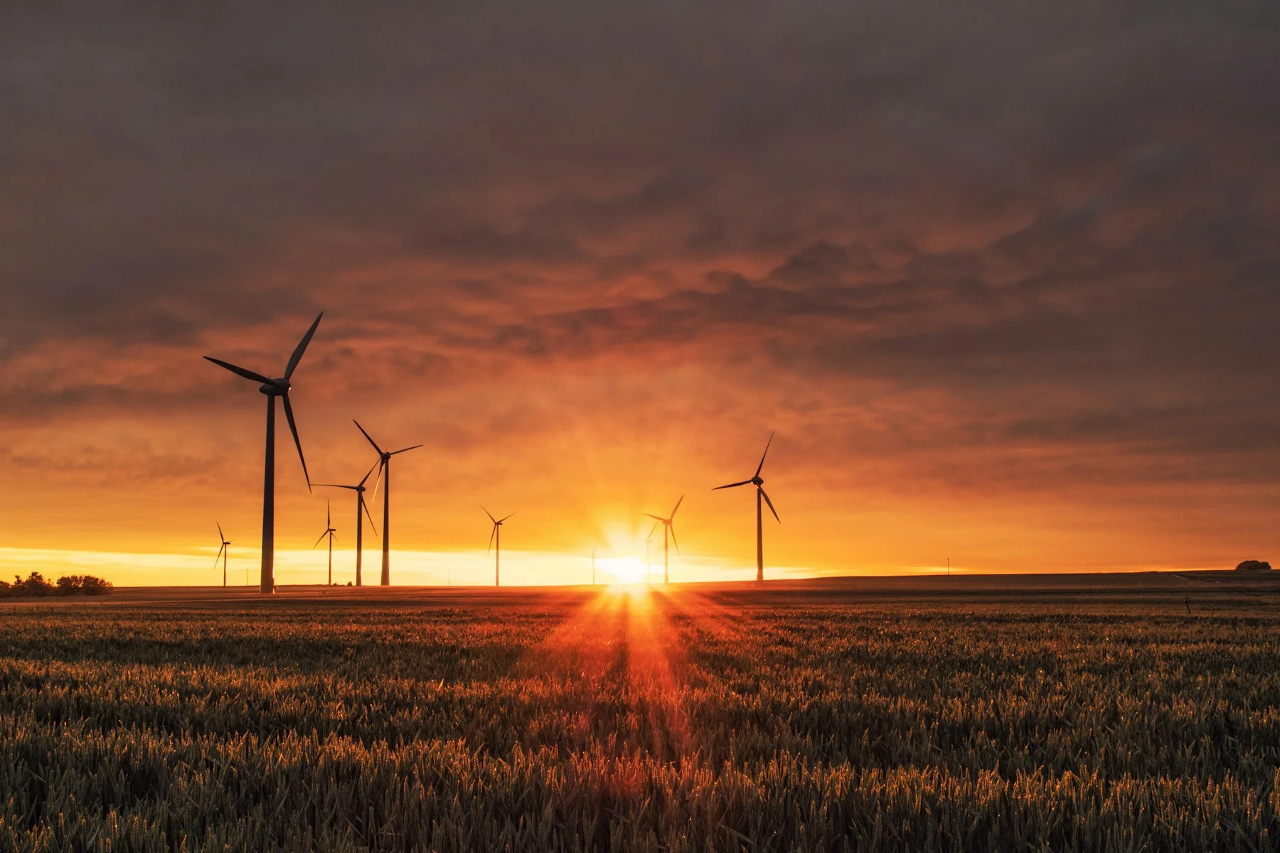 Wind turbines in warm evening light
